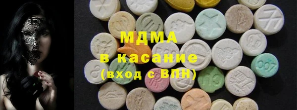 хмурый Абаза