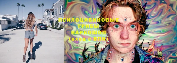 индика Алзамай