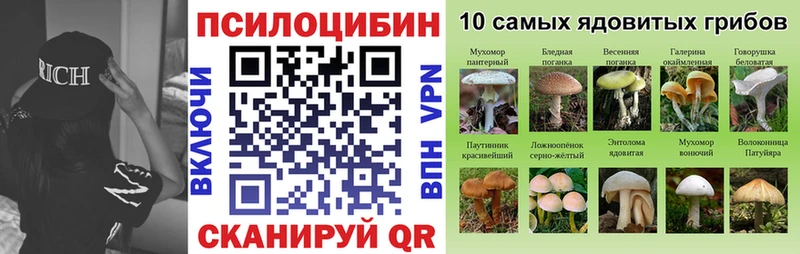 Псилоцибиновые грибы MAGIC MUSHROOMS  закладка  Агидель 